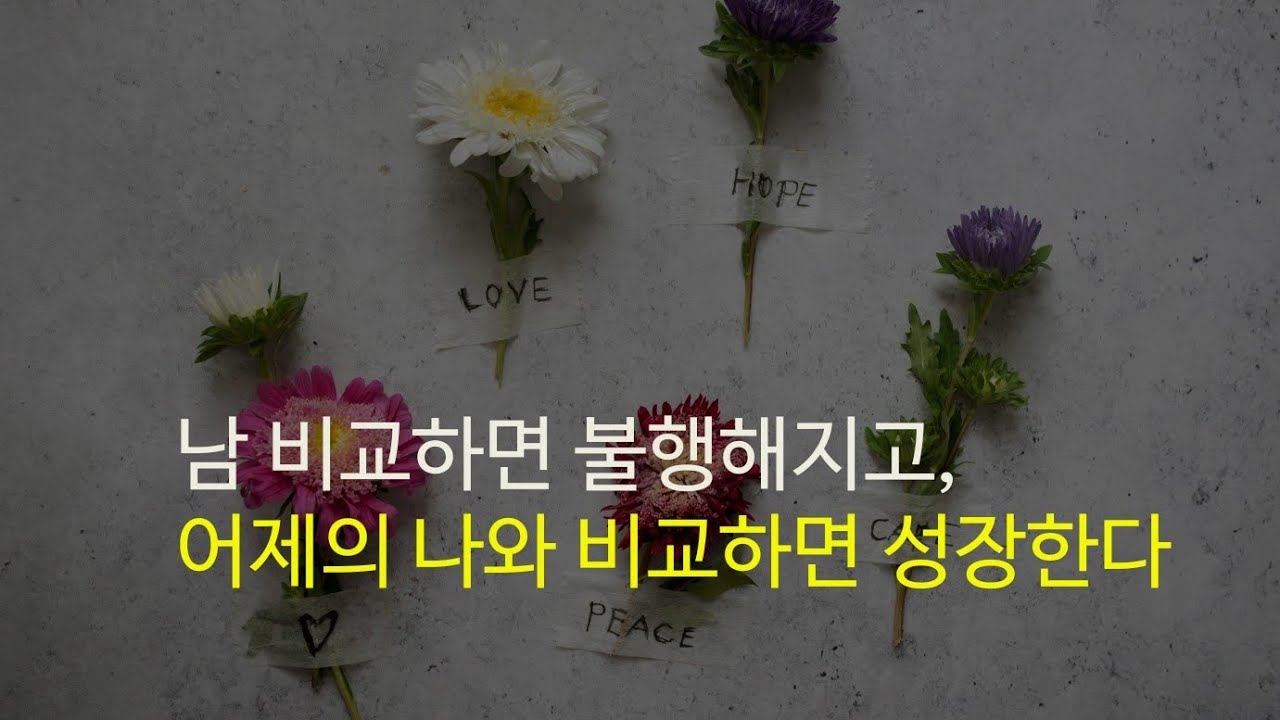 아침긍정확언320일째!힘들고 지쳐도 멈추지 마라, 비교 대상은 오직 어제의 나다.