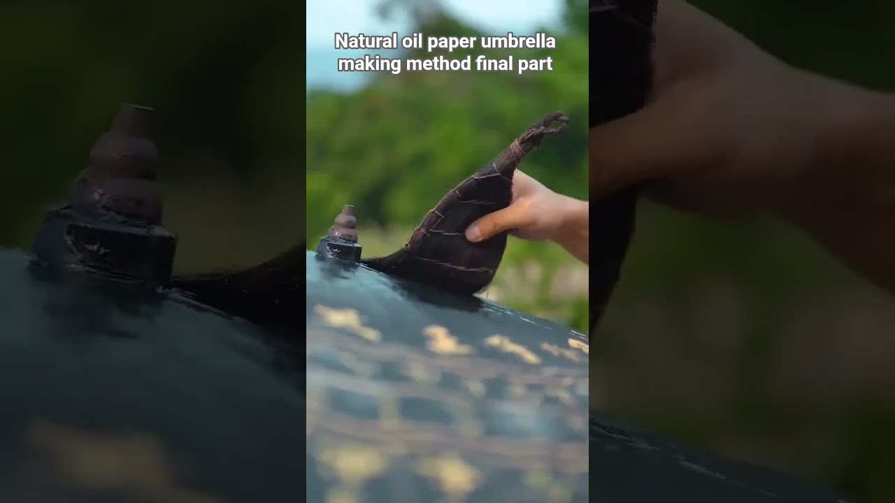 Natural Umbrella Making