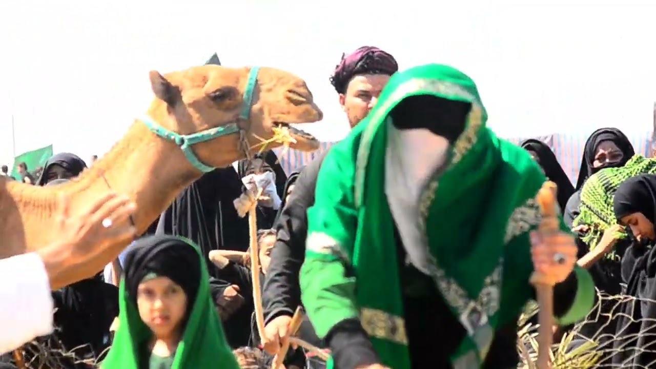 تشابيه سبايا الإمام الحسين عليه السلام رجوع يوم الاربعين مكان ميسان ساده الهواشم