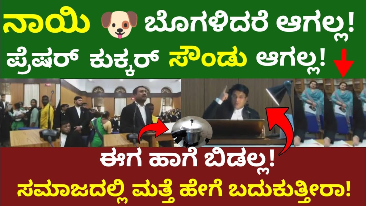 ಸಮಾಜದಲ್ಲಿ ಹೇಗೆ ಬದುಕಬೇಕು ಅಂತ ಗೊತ್ತಿಲ್ವಾ | ಜಡ್ಜ್ ಪುಲ್ ಗರಂ ಈಗ ಬುದ್ಧಿ ಕಲಿಸಬೇಕು 