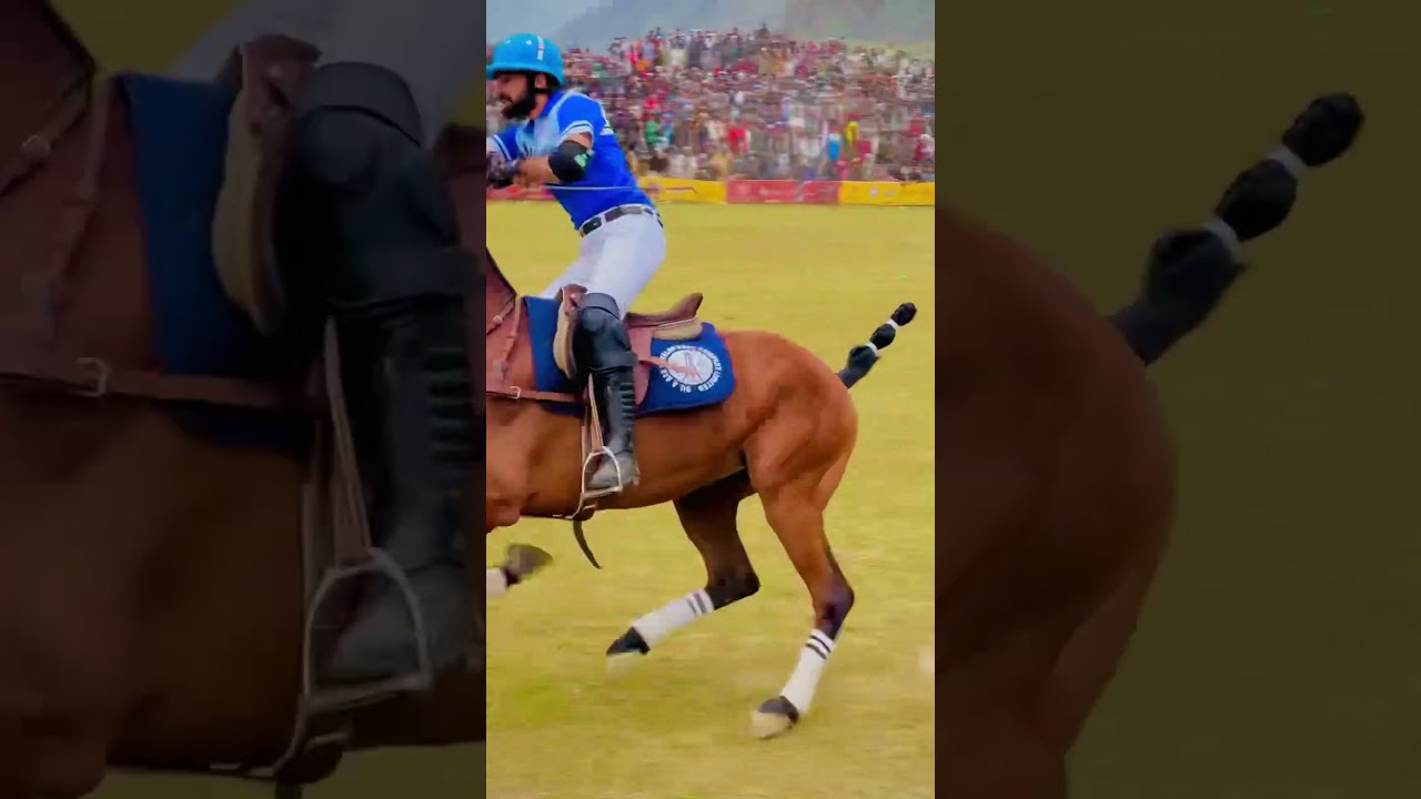 Freestyle polo Gilgit Baltistan ❤️🐎 #shorts #viral #travel #polo #freestylepolo