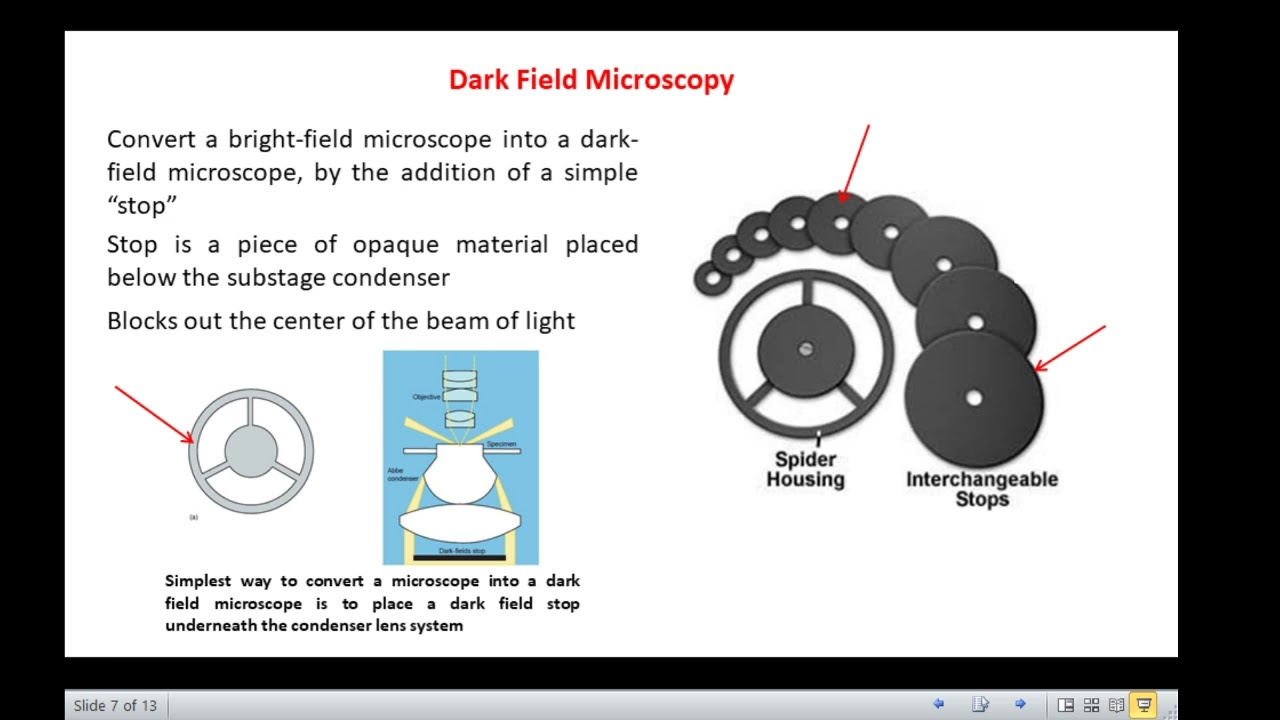 Dark Field & Ultra Violet Microscopy