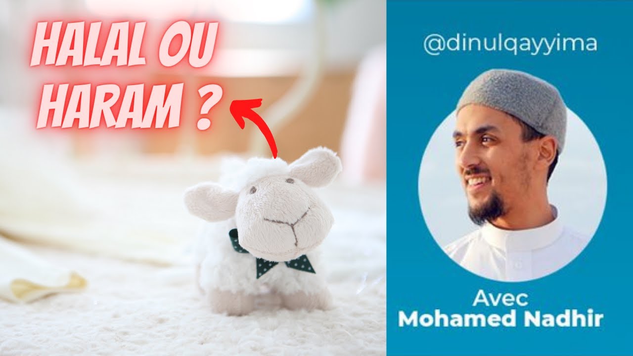 DESSINS, POUPÉES, PHOTOS ET STATUES : QUE DIT L'ISLAM ? | MOHAMED NADHIR