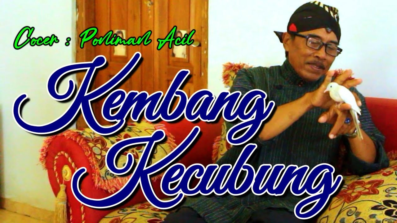 KEMBANG KECUBUNG - LANGGAM (COVER PONIMAN ACIL)