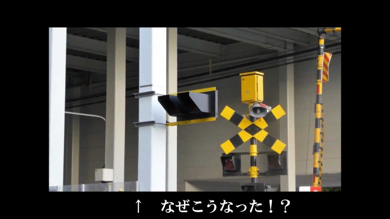 【東海の