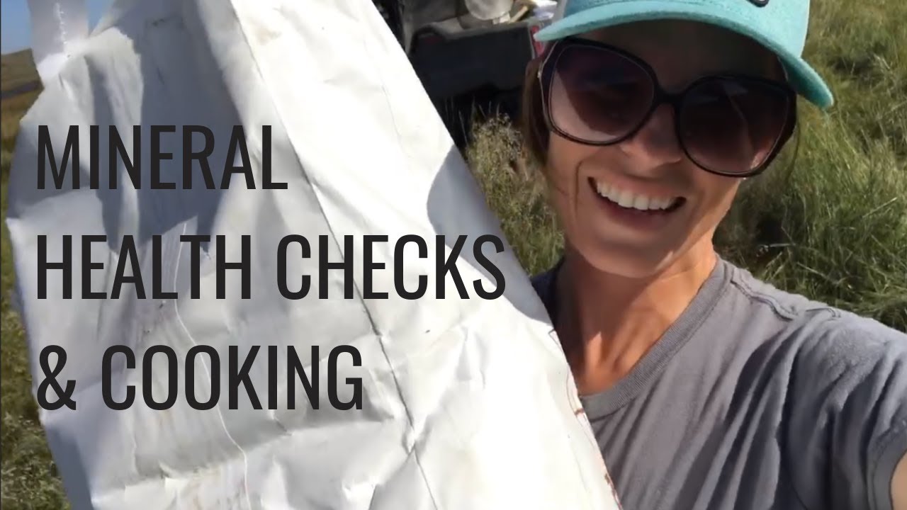 The One with the Mineral, Health Checks, & Crew Cooking