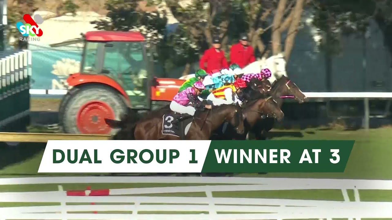 Ole Kirk - superstar racehorse retires to Vinery Stud