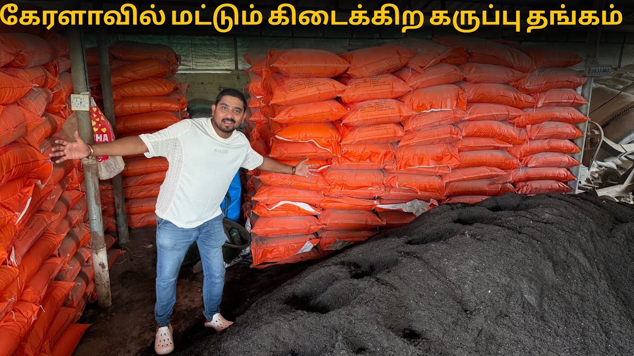 கேரளாவில் மட்டும் கிடைக்கிற கருப்பு தங்கம் | Fertilizers | Vino Vlogs 