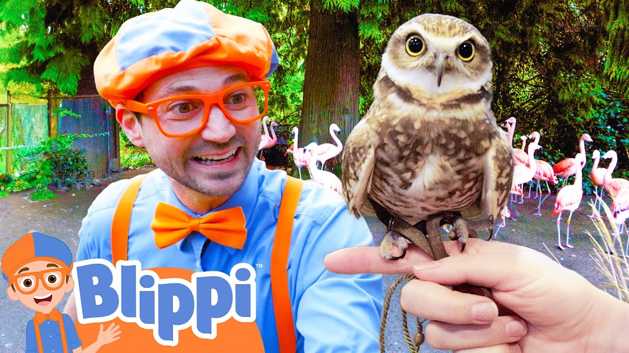 Discovering Amazing Animals at the Zoo! | BEST OF BLIPPI TOYS | Educational Videos for Kids