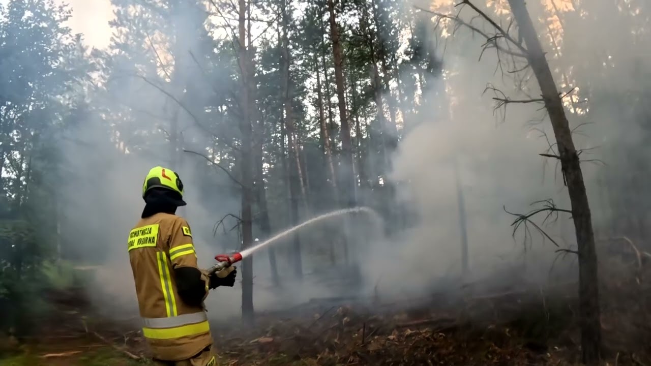 OSP KSRG Nowa Brzeźnica - Alarmowo do pożaru lasu!