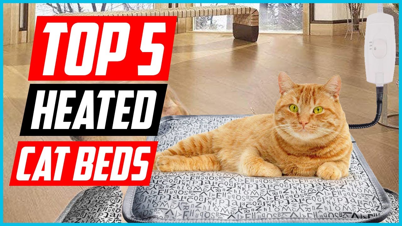 ✅Top 5 Best Heated Cat Beds in 2024