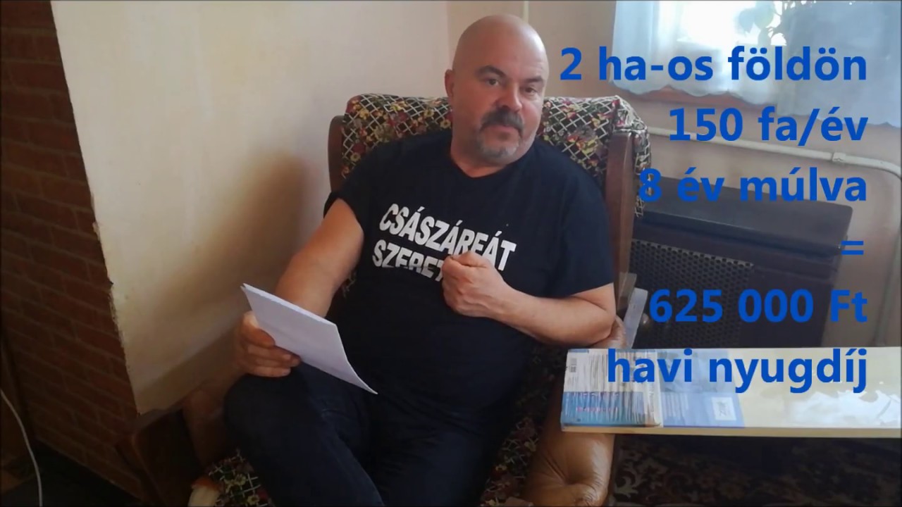 Császárfából nyugdíj – avagy hogyan tudunk 9 év alatt nyugdíjba menni