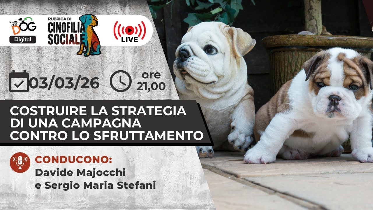 Costruire la strategia di una campagna etica contro lo sfruttamento