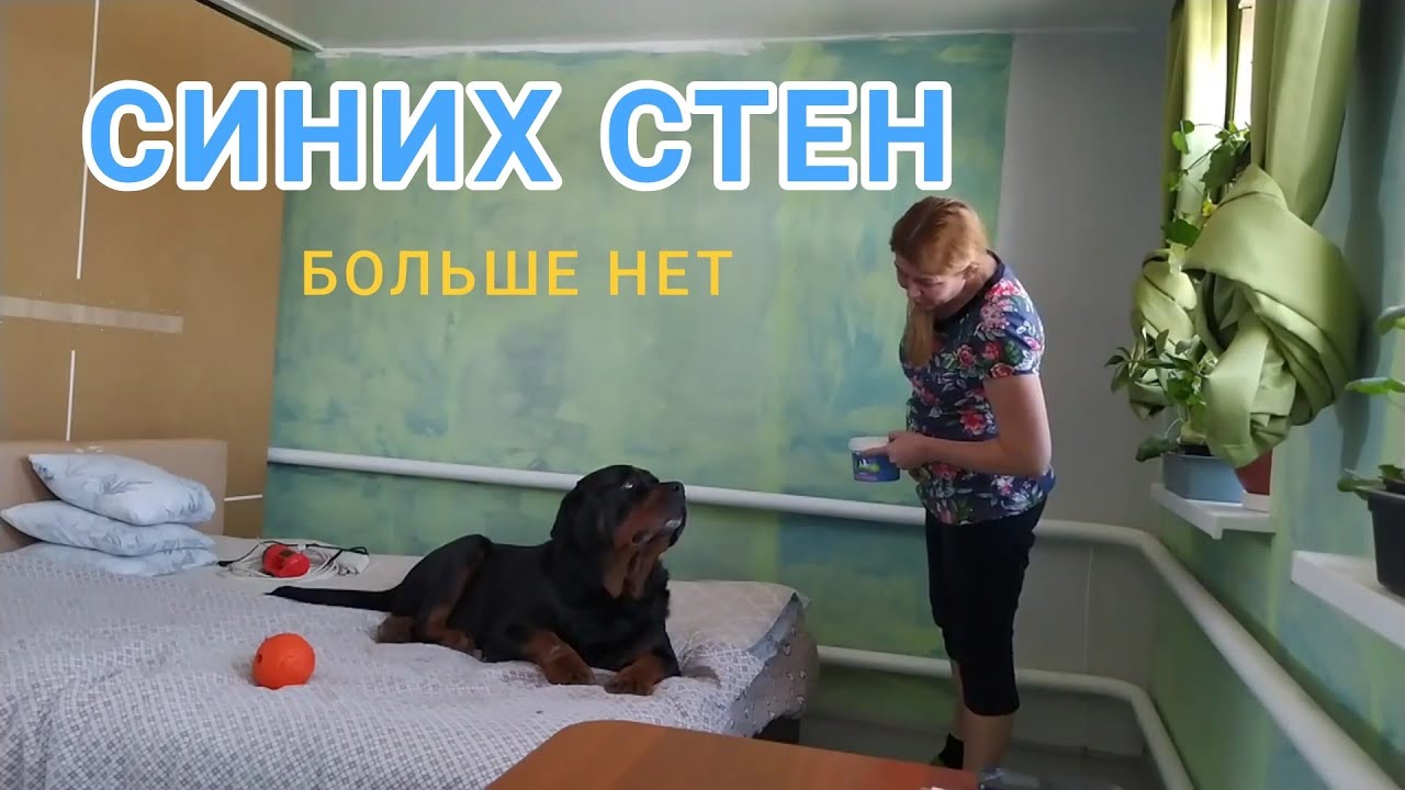 Погода психует. Наклеила обои наизнанку.