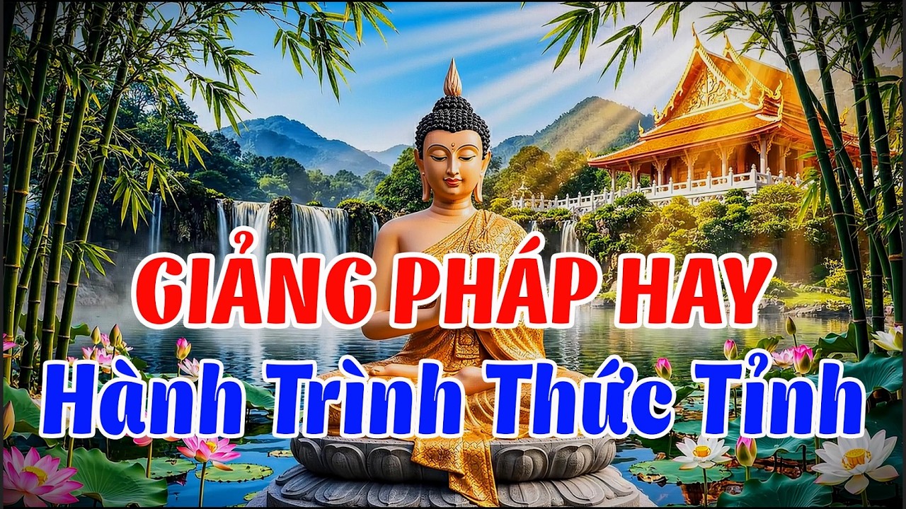 Giảng Pháp: Hành Trình Thức Tỉnh , Buông Bỏ Khổ Đau