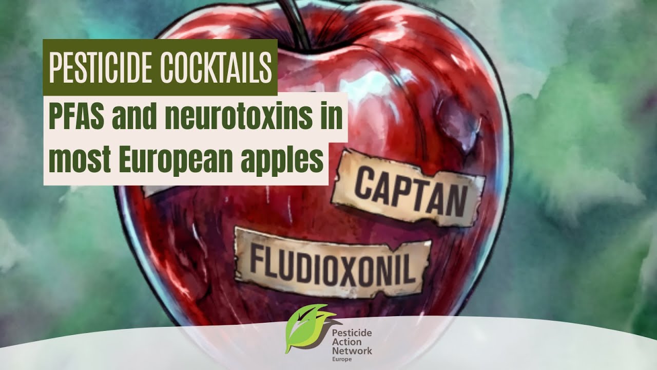 Press Conference: Pesticide cocktails, PFAS and neurotoxins in most European apples
