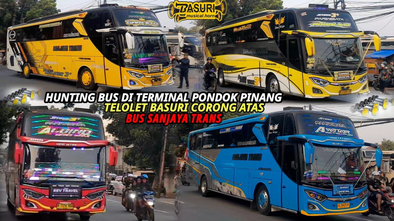 TELOLET BASURI BUS SANJAYA TRANS ALBINO,AVATAR,GARFIELD,PANGLIMA‼️HUNTING DI TERMINAL PONDOK PINANG