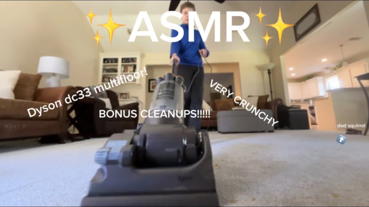Dyson DC33 ✨ASMR✨ (VERY cRuNcHy)