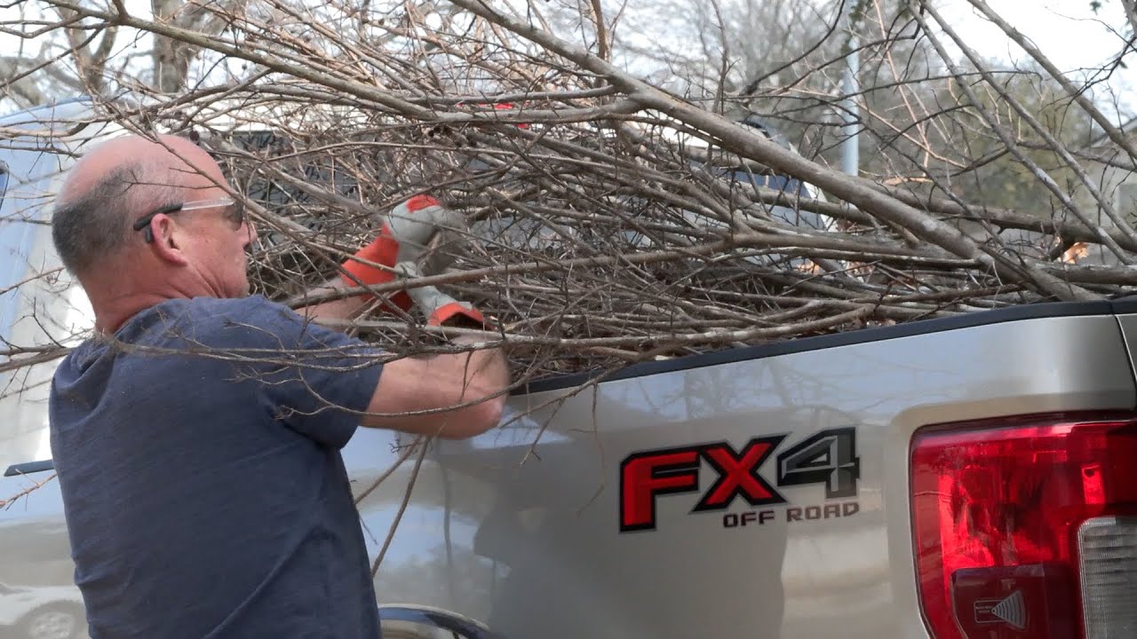 Tree Debris Cleanup
