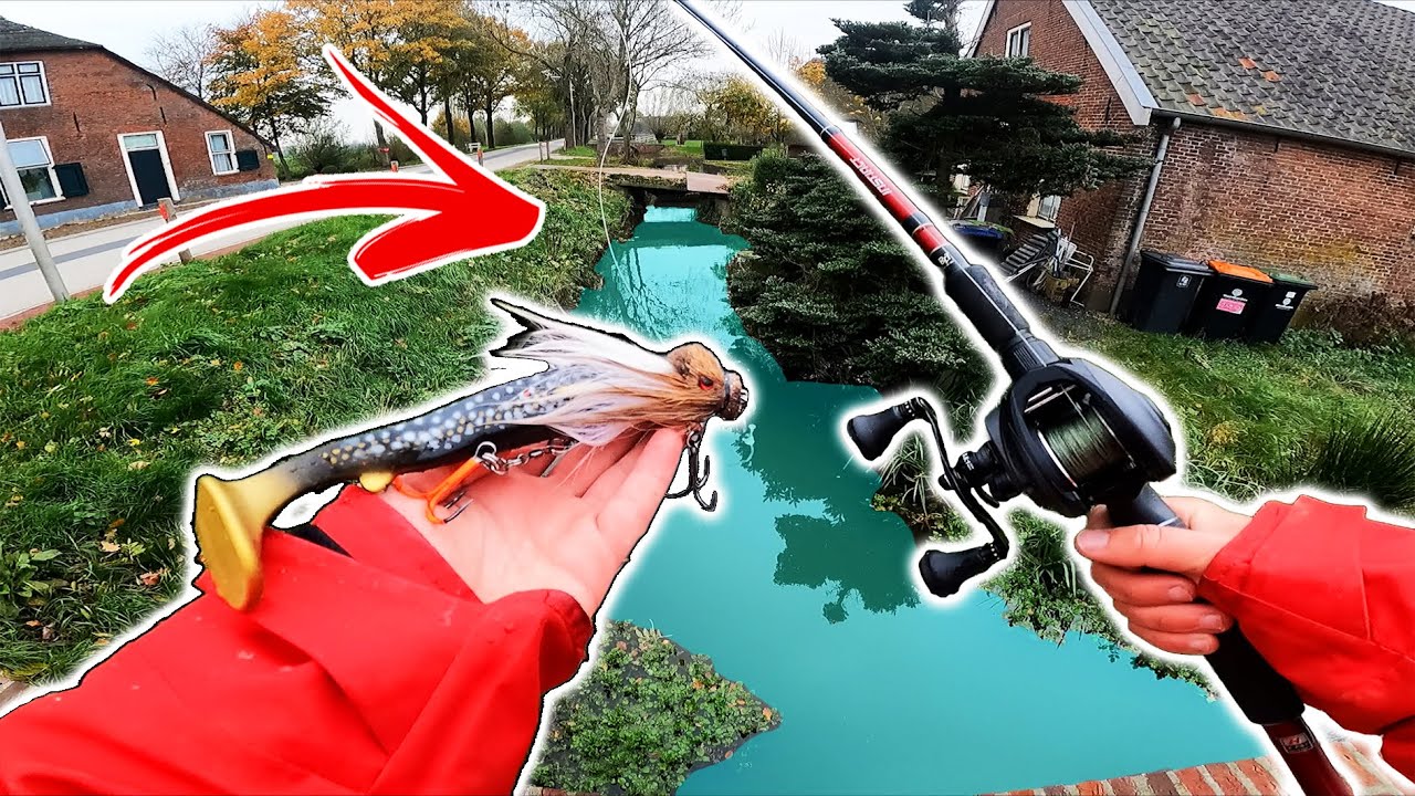 WE VANGEN EEN METERSNOEK IN SUPER KLEIN WATER! (Beste Polderdag OOIT?)