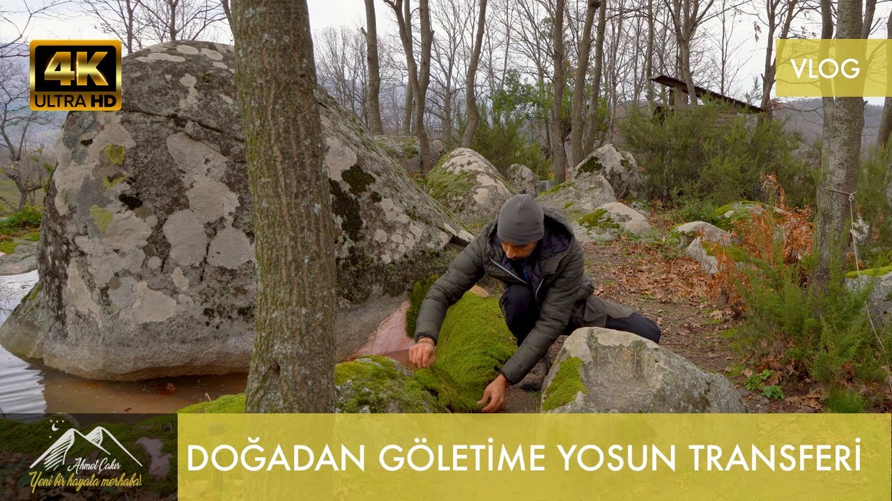 Doğadan Göletime Yosun ve Bitki Transferi vLog.