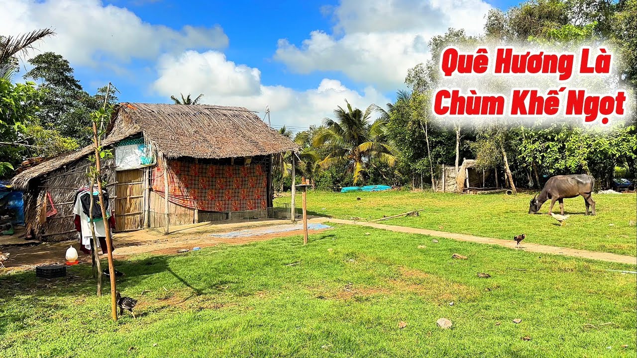Lạc Vào Vùng Quê Hiu Quạnh, Hẻo Lánh Hoang Sơ, Và Căn Nhà Tạp Bợ Không Có Đường Lộ Đi