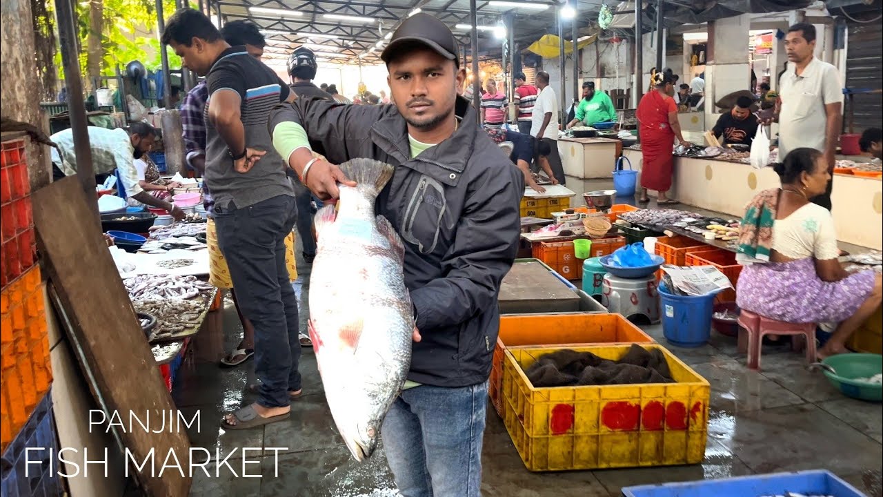 GOA PANJIM FISH MARKET 😱 में मछली का भाव- PUBLIC VLOG🙋 - Wholesale RATE -सबसे Sasta मछली market (31)