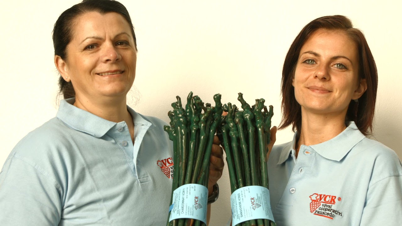Vivai Cooperativi Rauscedo