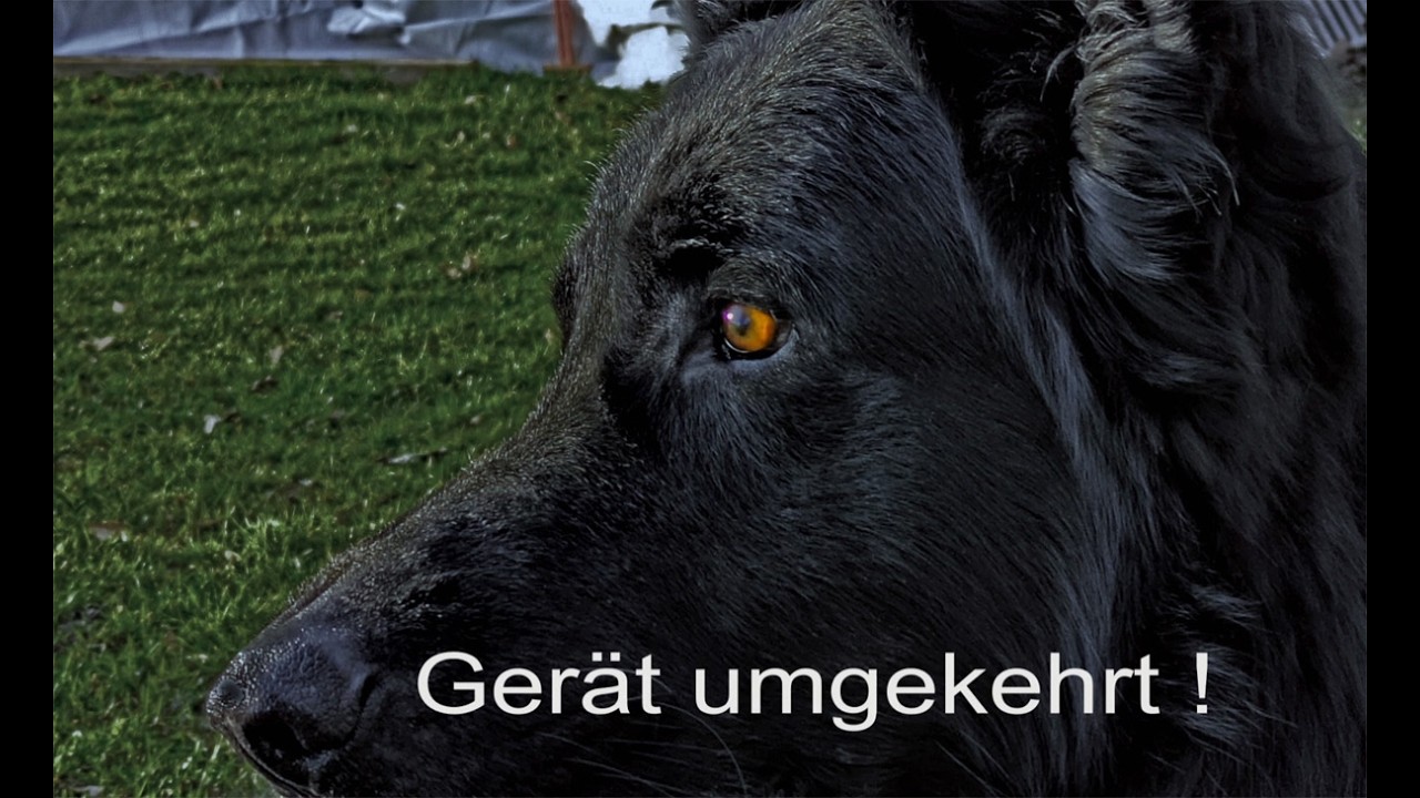 Sprung gedreht.
