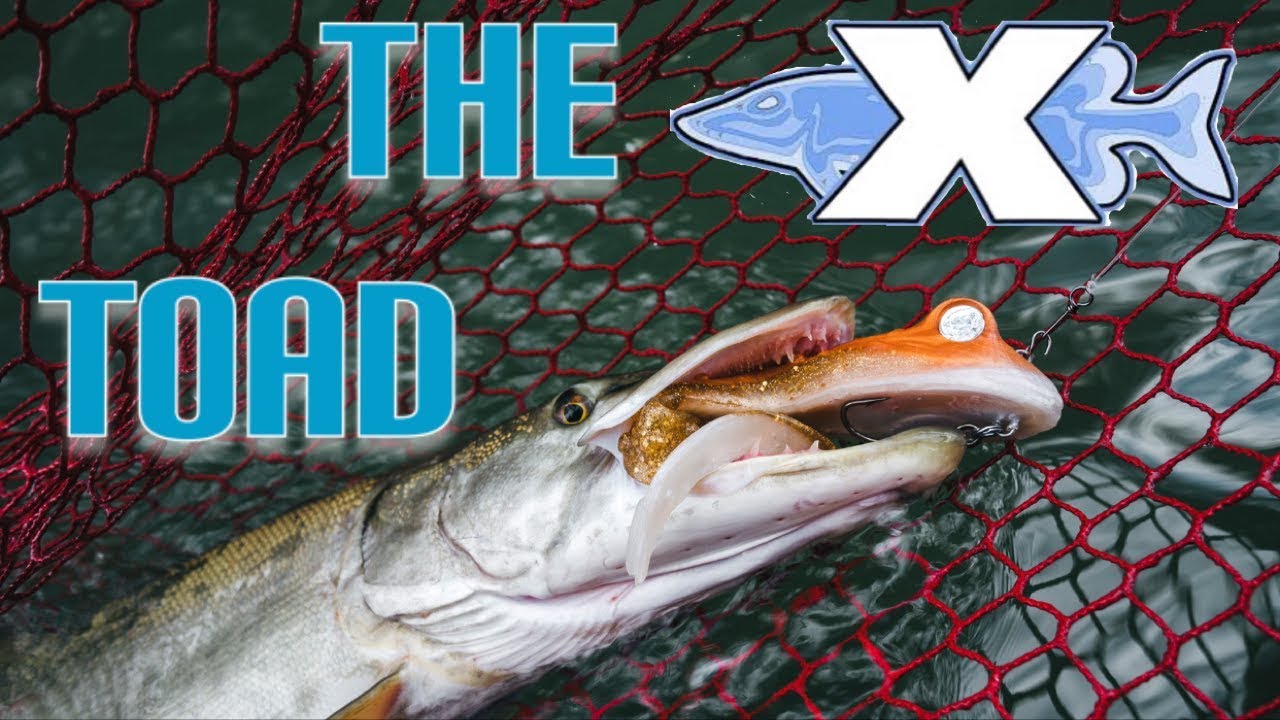 THIS New Musky Bait IS ON FIRE   Lake X Toad