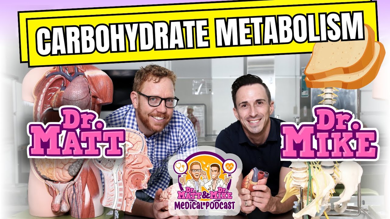 Carbohydrate Metabolism - Glycolysis, Krebs Cycle, and Electron Transport Chain | Podcast