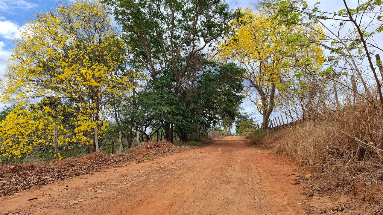 A BELEZA DA ZONA RURAL ESCONDE O SOFRIMENTO COM A FALTA DA CHUVA NA PARAÍBA 