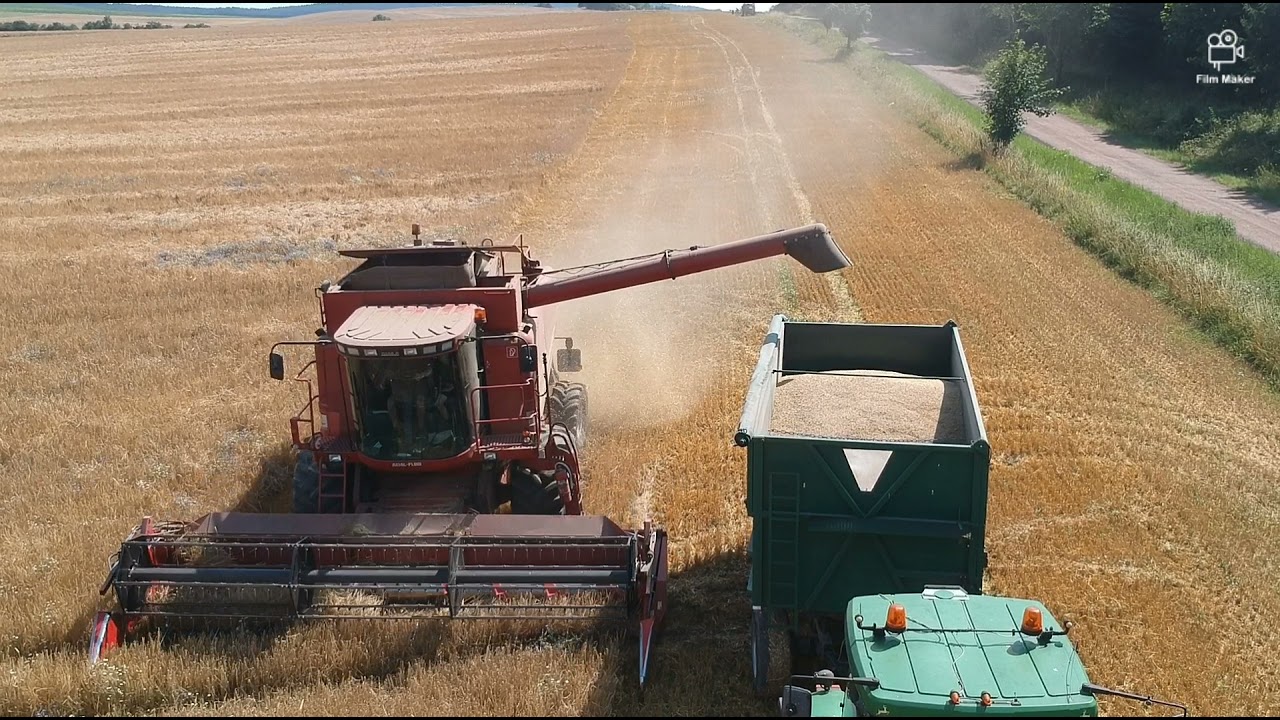 CASE IH 2388 axial - flow (žně 2021)