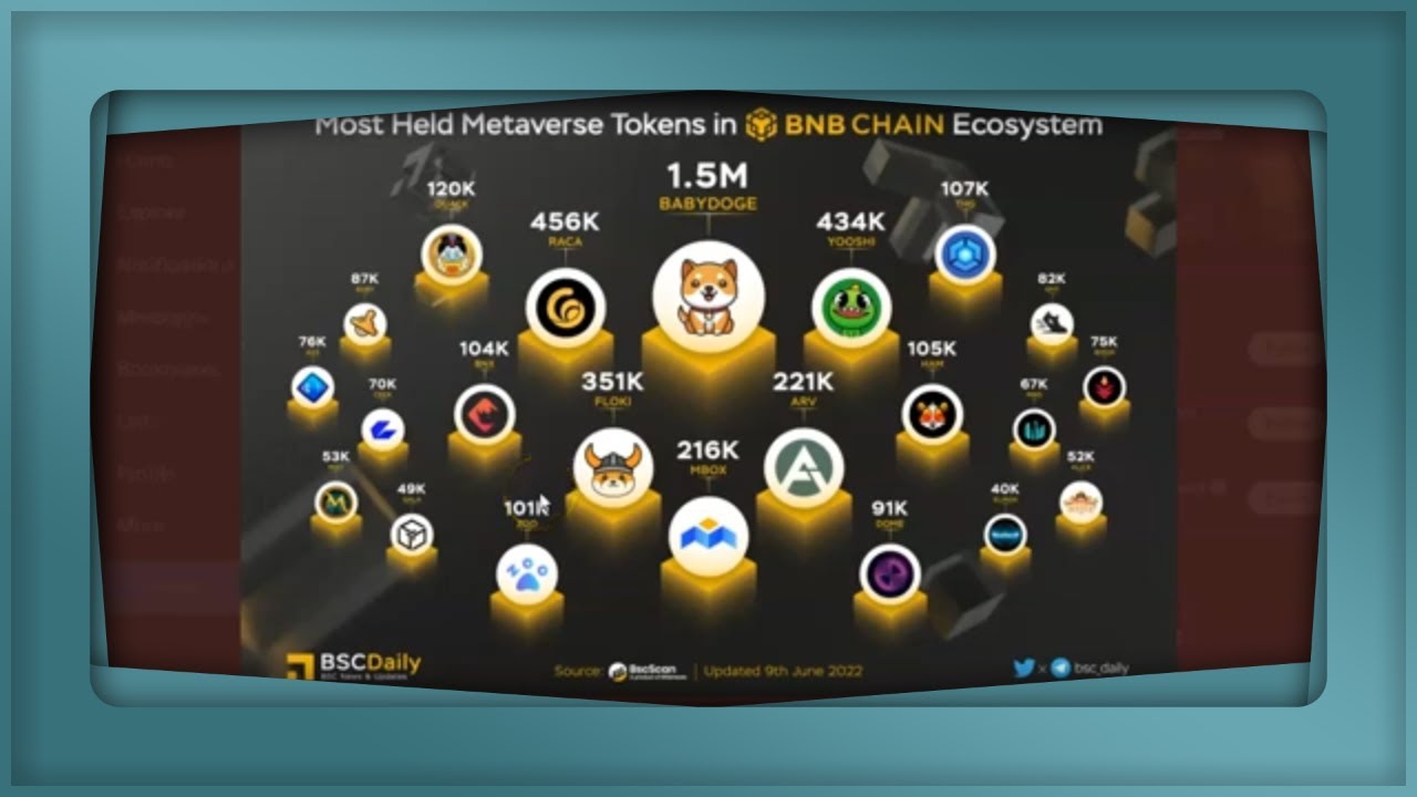 BabyDoge Most Held #Metaverse Tokens in BNBCHAIN Ecosystem