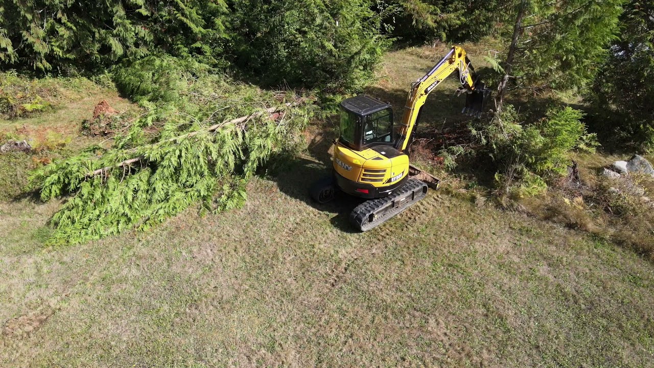 SANY SY50U CLEARING TREES