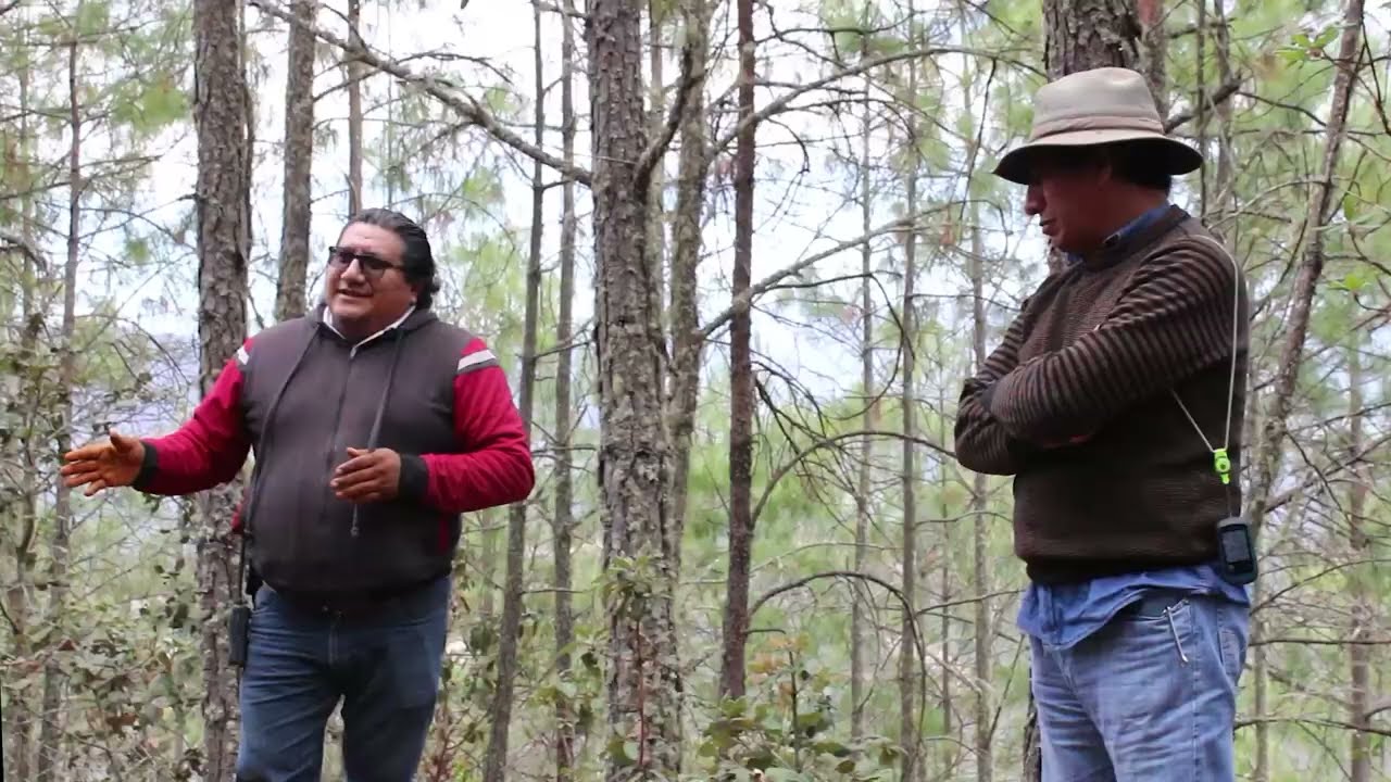 Pueblos mancomunados Yaax Carbon