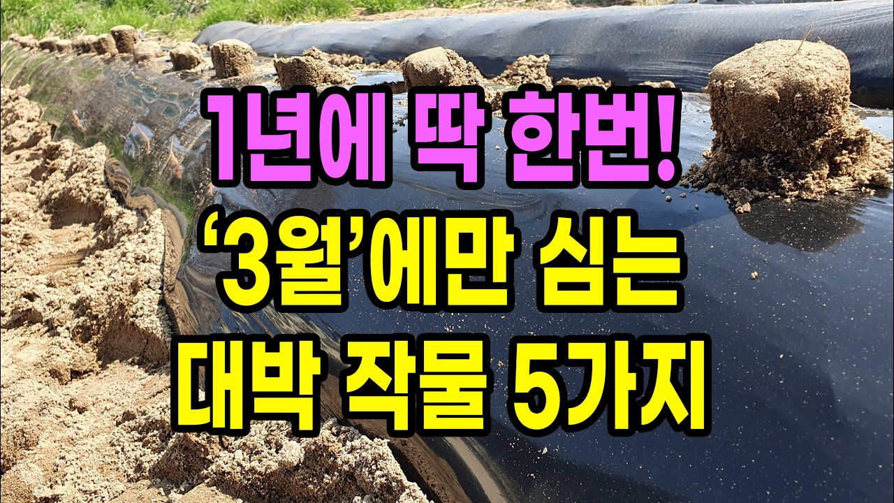 1년 중 딱 한번 3월에만 심을 수 있는 대박 작물 5가지