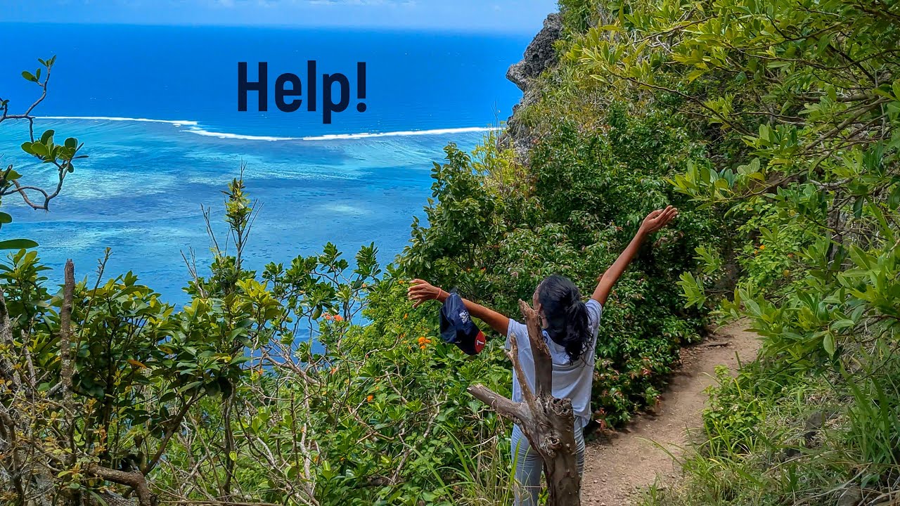 Lost in the Wilderness | Computer Science 2023 | UOM