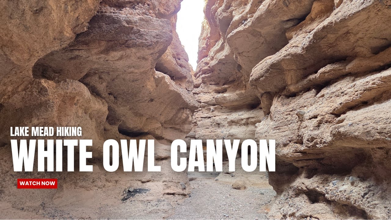 Lake Mead Hiking- White Owl Canyon