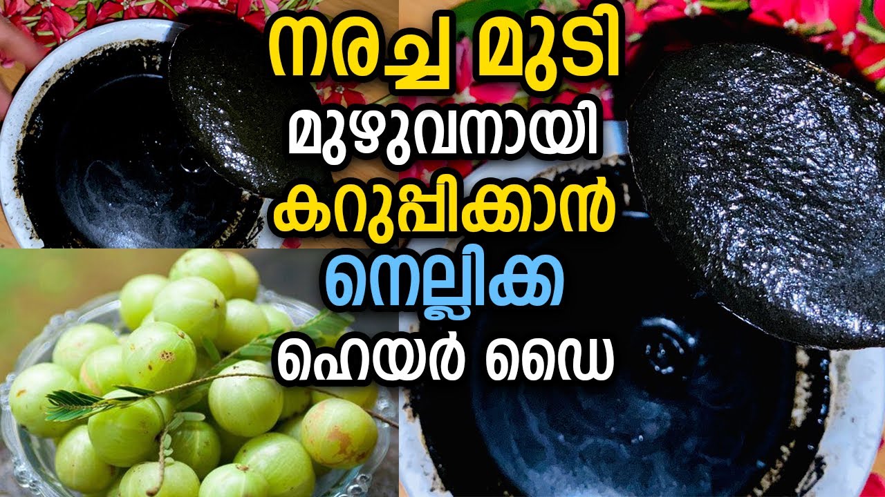 നരച്ചമുടി മുഴുവനായി വേരോടെ കറുപ്പിക്കാൻ നെല്ലിക്ക ഹെയർ ഡൈ |Natural Hair dye| Nellikka hair dye