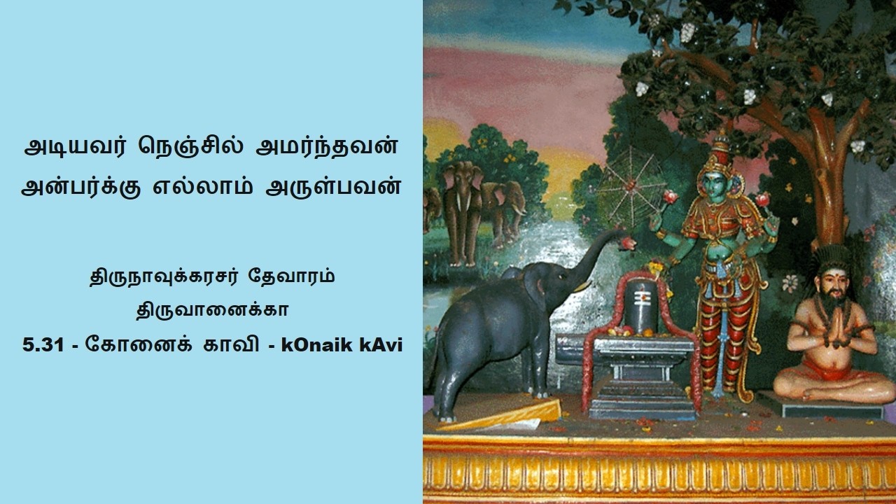 5.31 - Part-1 - கோனைக் காவி - kOnaik kAvi - (Thevaram class)