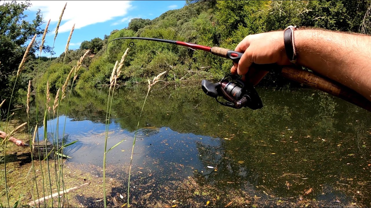 Pescando montruos en la cienaga |1ª Jornada de 4 | Temporada Pesca 2020