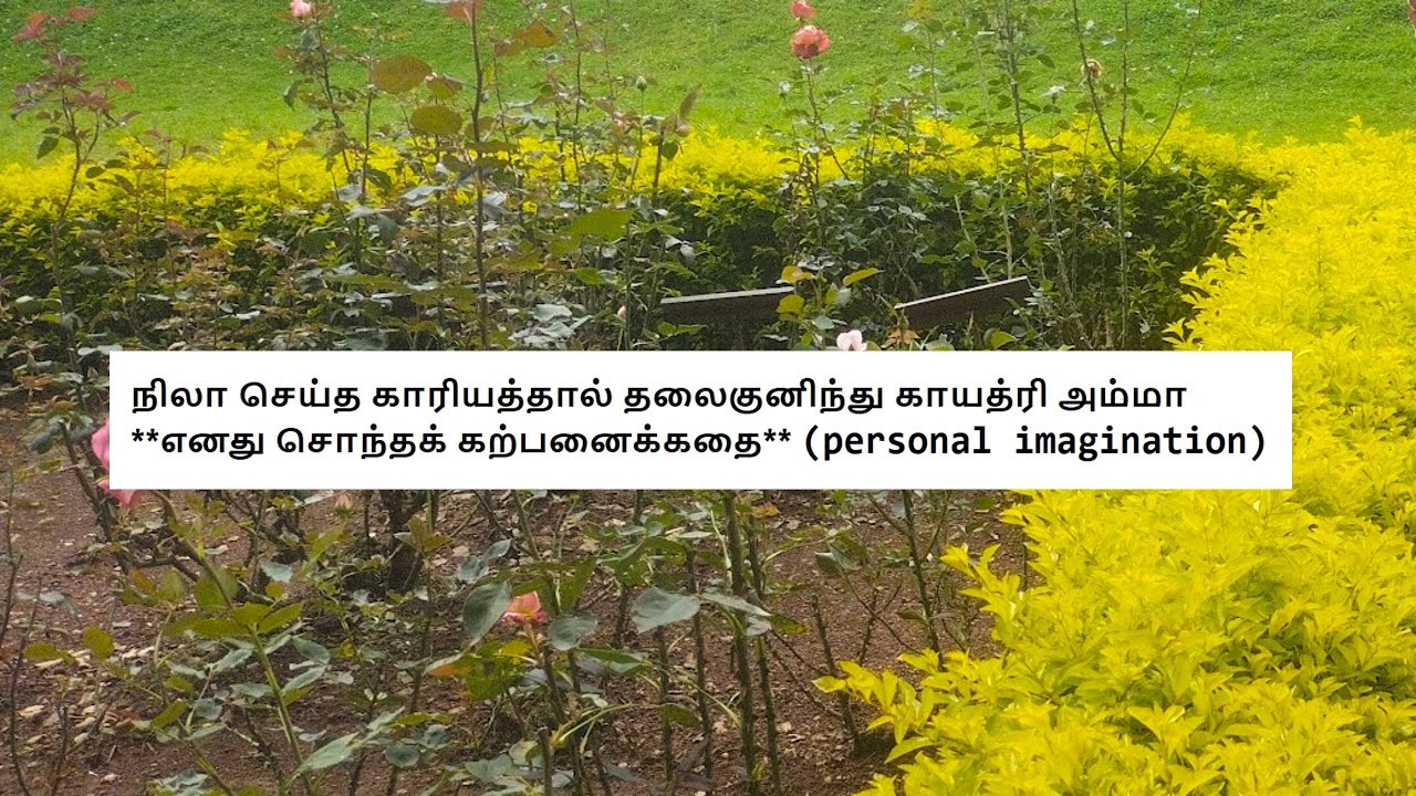 நிலா செய்த காரியத்தால் தலைகுனிந்து காயத்ரி அம்மா *எனது சொந்தக் கற்பனைக்கதை* (personal imagination)