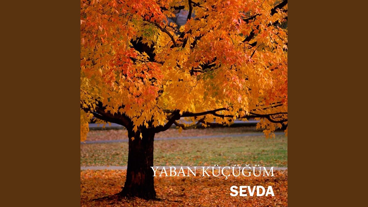 Yaban Küçüğüm