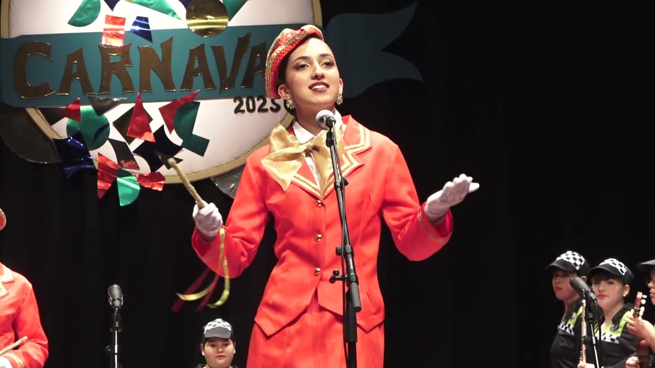 Bailinho   A mala legislativa