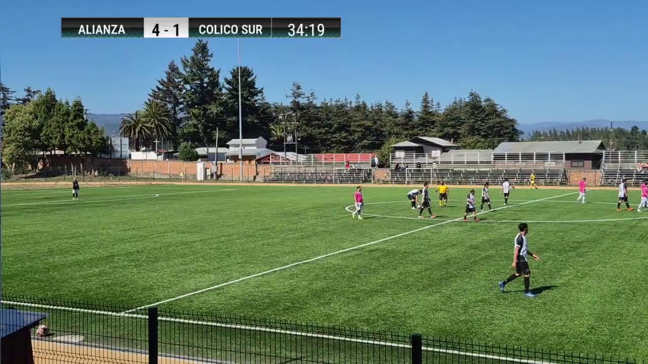 Alianza de Cañete 4  v/s  1 Colico Sur (super  senior)
