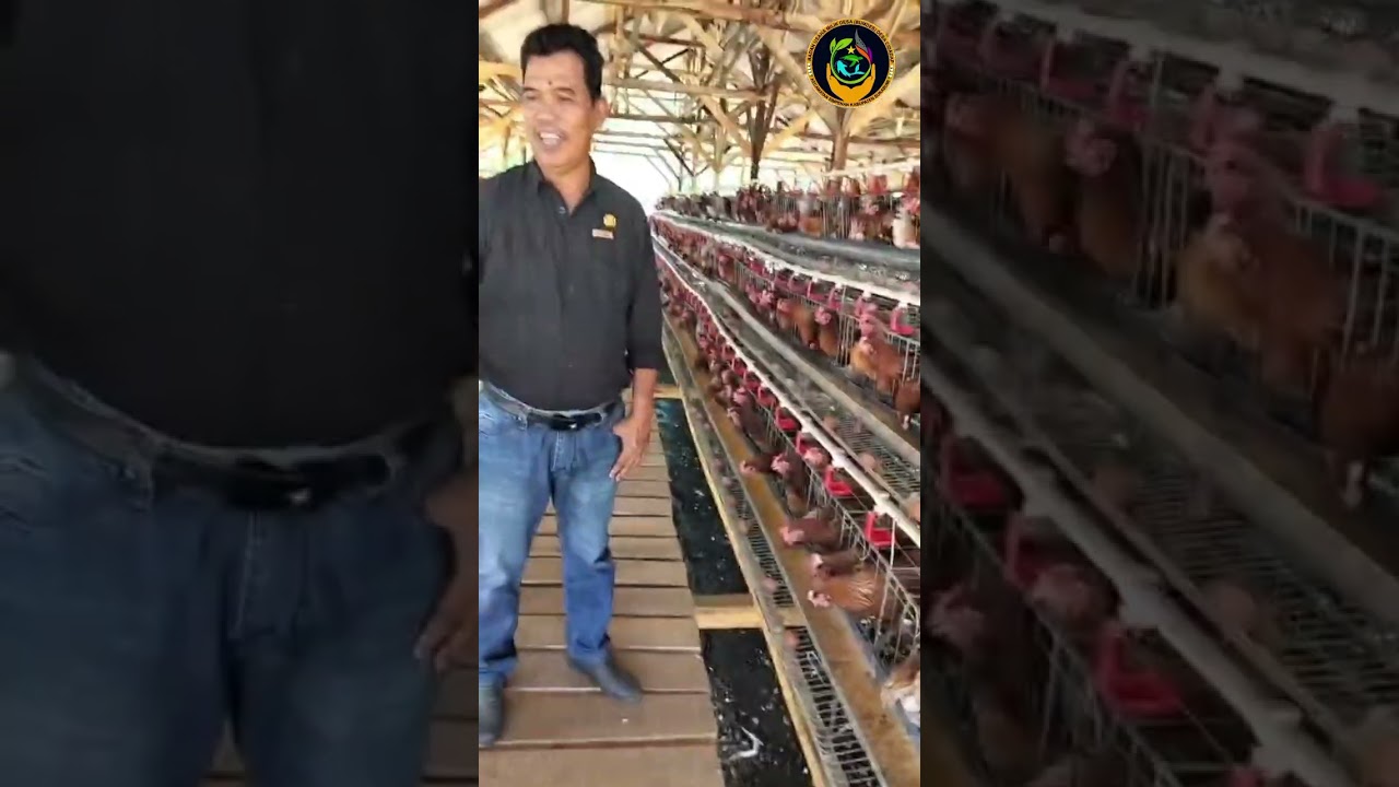 Alhamdulillah hari ini kedatangan bapa camat dan bu camat simpenan 