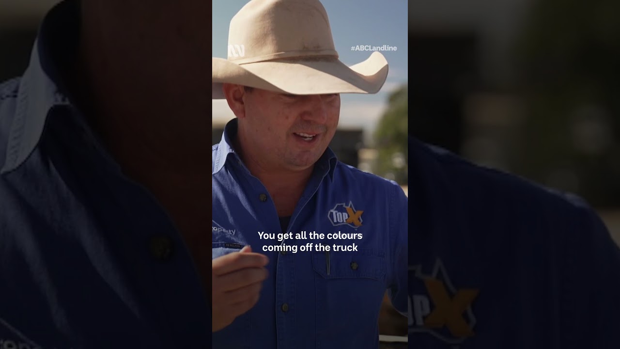 For buying and selling cattle ... it doesn't get much bigger than this! 🐄 | Landline | ABC Australia
