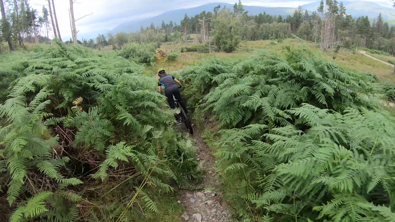 World Champs Full Trail