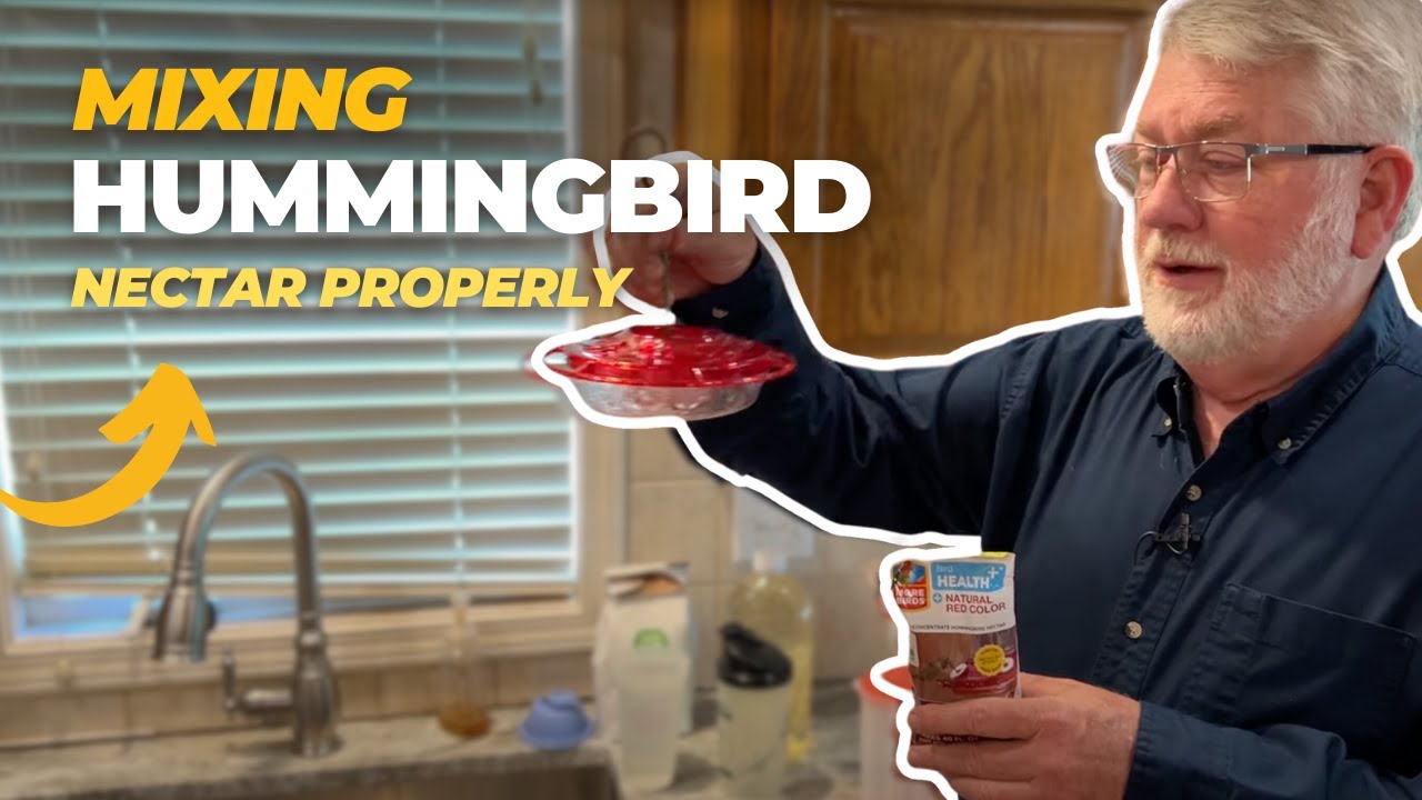How to Mix Hummingbird Nectar Properly